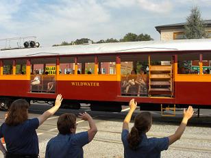 Excursion Train Wildwater Open Coach