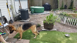 New Deck For New Backyard Hot Tub