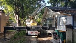Backyard Tree Removal Crane In Place