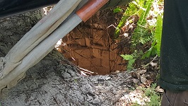 Backyard Tree Removal Crane Finds Well