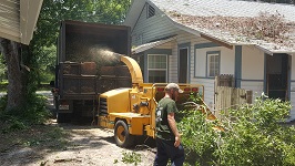 Backyard Tree Removal All That Remains Being Shredded