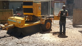 Backyard Tree Removal Stump Grinding