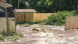 Backyard Tree Removal All That Remains