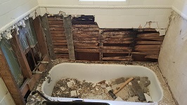 Removing Tile Reveals Drywall