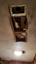 Remaining Ceiling Plaster
