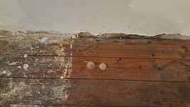Kitchen Flooring Of Thousands Of Plugs