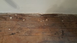 Kitchen Flooring Of Thousands Of Plugs