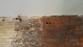 Kitchen Flooring One Of Thousands Of Holes Needing Plugged