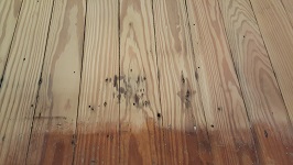 Kitchen Flooring Sanding And Edging Complete 100 Grit