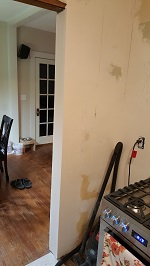 Extension Entirely First Coated - Partial Second Coat Kitchen Side