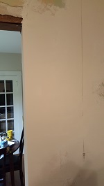Extension Entirely First Coated - Partial Second Coat Kitchen Side