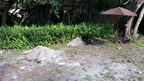 Sprinklers